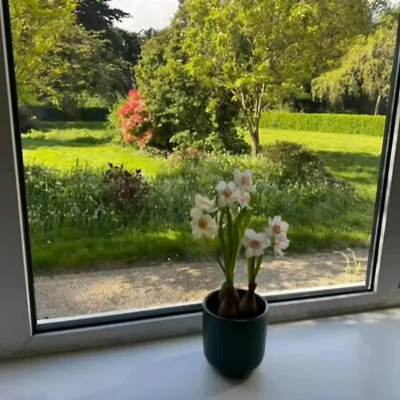 In A Beautiful House Coolvalley Abingdon Park Loughlinstown